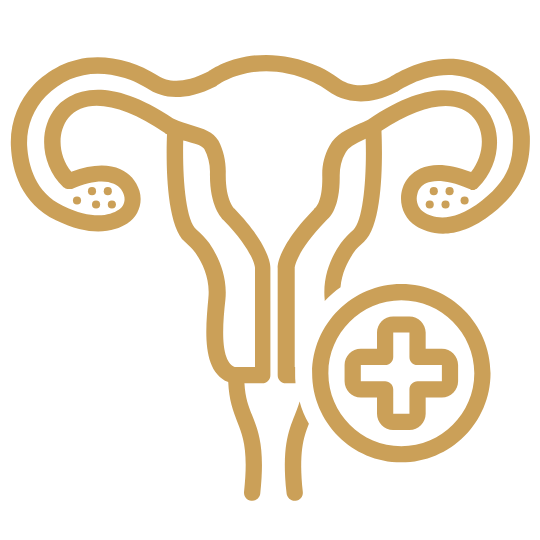 Gineco Icon